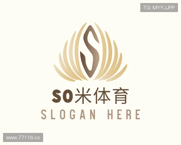 探究so米体育